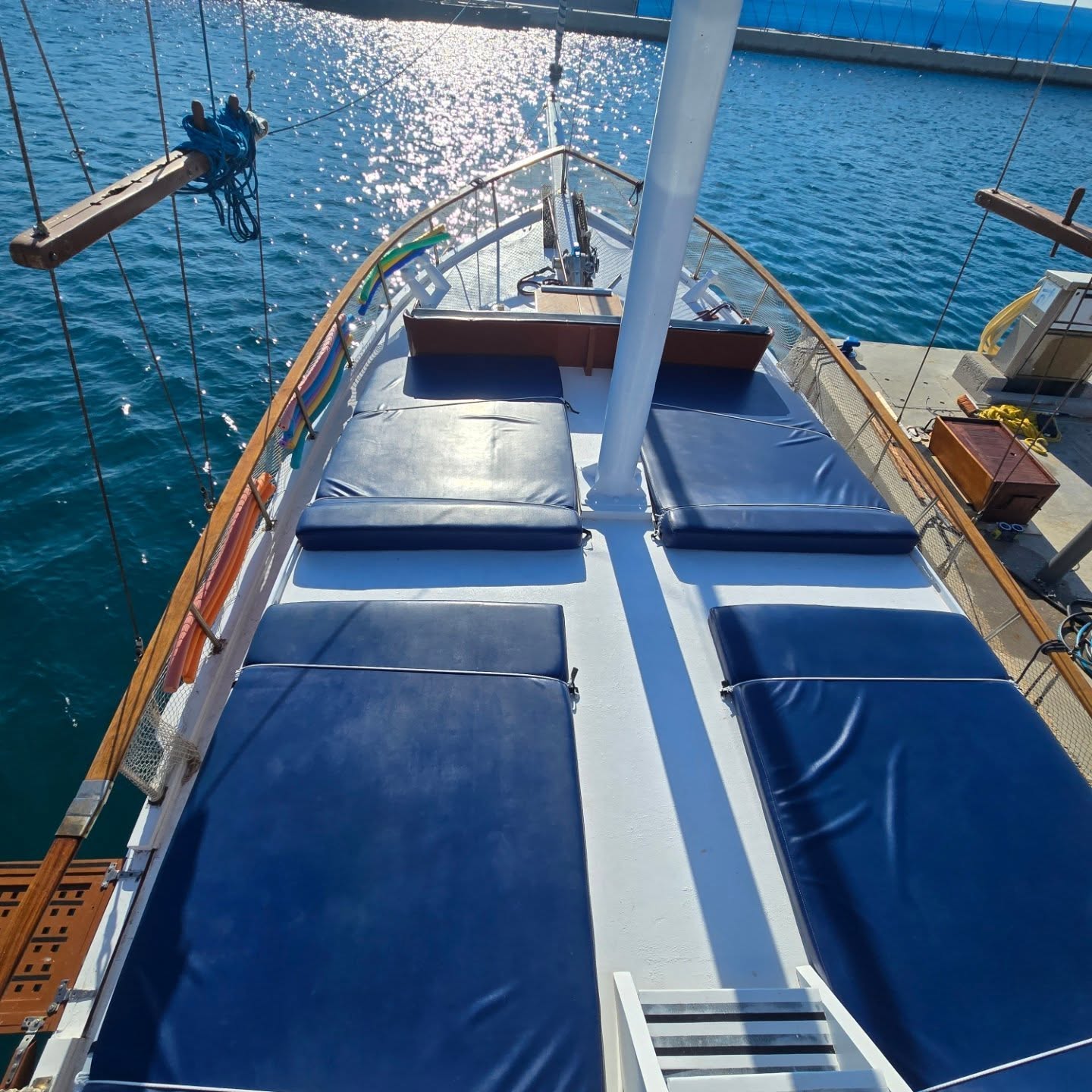 Summer Dreams Daily Cruises photo